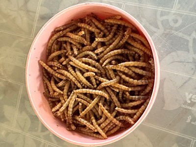 e7df232d-f354-4089-8151-1d9c1ab2bb1c-jpg